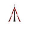 Zebracat logo mark